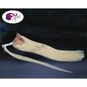 Ponytail  blond color:60